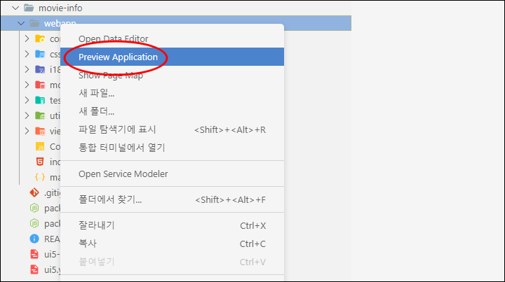 SAPUI5 앱 Preview Application
